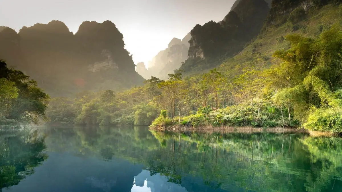 绿色高性能精密